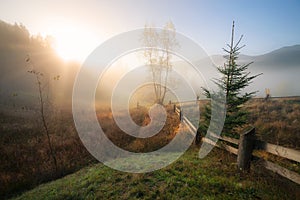 Fall colors mountain hill