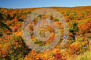 Fall colors in the mountains