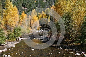 Fall colors in the mountains