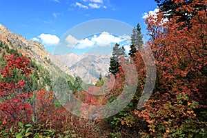 Fall Colors and Mountains