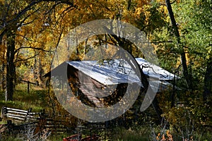 Fall colors in the mountains