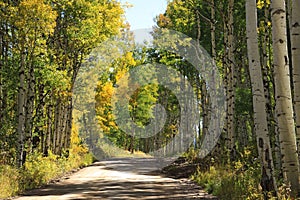 Fall colors in the mountains