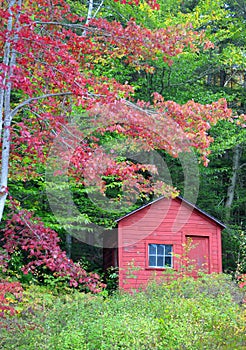 Fall colors of New England on a Farm