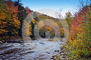 Fall colors of New England on the River