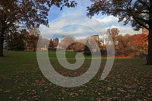 Fall colors in New York City Central Park