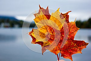 Fall colors in North America