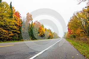 Fall colors in North America