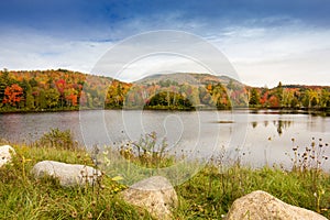 Fall colors in North America