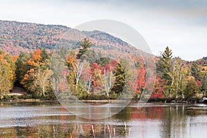 Fall colors in North America