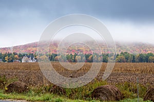 Fall colors in North America