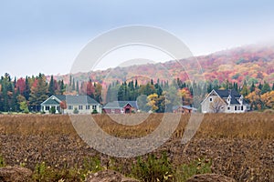 Fall colors in North America