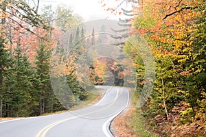 Fall colors in North America