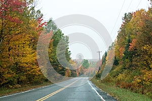 Fall colors in North America