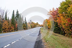 Fall colors in North America