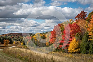 Fall Colors North Bay