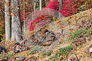 Fall colors and old bicycles