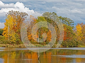 Fall colors orange, yellow and red in trees at pond edge with reflections in water