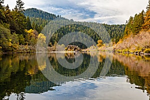 Fall colors of orange and yellow reflect in a calm section of the rogue river with a perfect pine forest and mountain in the