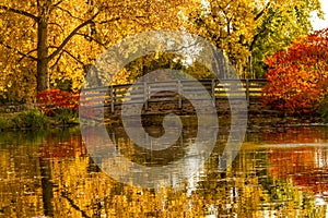 Fall Colors in Outdoor Park