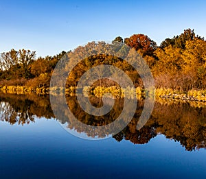 Fall colors in a park with reflections in the lake in Omaha Nebraska