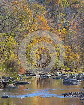 Fall Colors, Patapsco River, Rapids Trail, McKeldin Recreation Area, Patapsco Valley State Park, MD