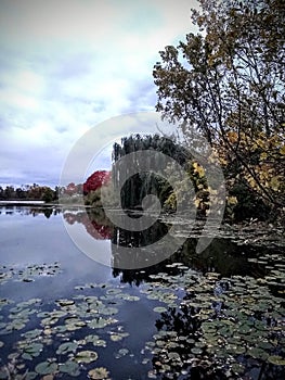 Fall Colors of the Pond in Michigan