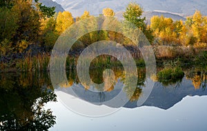 Fall Colors at Pond South of Salmon