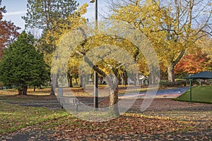 Autumn colors in a public park Gresham Oregon state