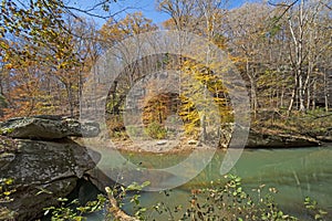 Fall Colors on a Quiet Forest Creek