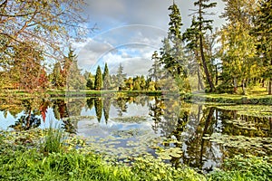 Fall Colors Reflect in Calm Lake