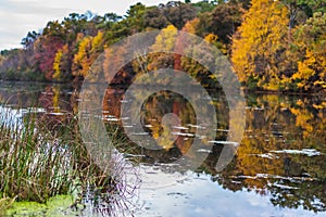 Fall colors reflected in lake