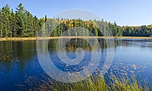 Fall Colors Reflected on a Lake