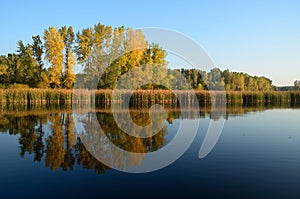 Fall Colors Reflected on a Lake