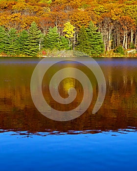 Fall colors reflected in still pond