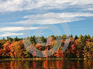 Fall colors reflecting on a pond