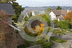 Fall colors in a residential area Seattle WA.