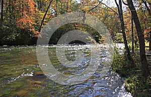 Fall colors and the river running along the Blue Ridge Parkway