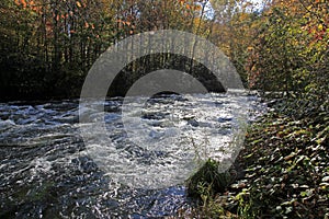 Fall colors and the river running along the Blue Ridge Parkway