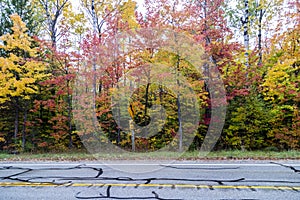 Fall colors on a road in Michigan