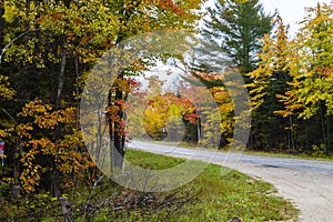 Fall colors on a road in Michigan