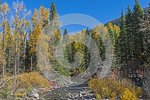 Fall Colors on a Rocky Mountain Stream