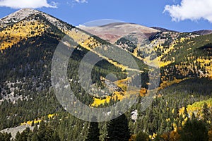 Fall Colors in the Rocky Mountains