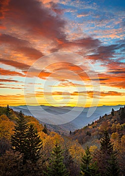 Fall colors, scenic sunrise, Great Smoky mountains