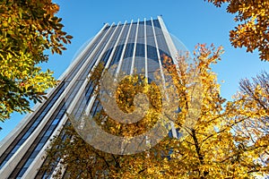 Fall Colors and Skyscraper