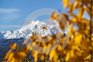 Fall colors and snow capped mountains in Alaska