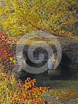 Fall Colors, stream and culverts photo