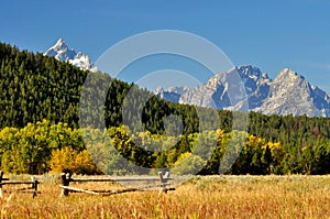 Fall colors surround a mountain in The Grand Tetons.