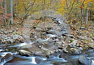 Fall colors surround a small white water stream in fall.