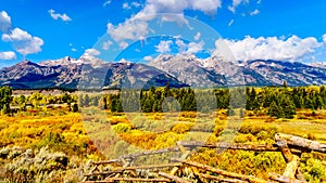 Fall Colors surrounding the Cloud covered Peaks of the Grand Tetons In Grand Tetons National Park