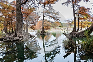 Fall colors in the Texas Hill Country